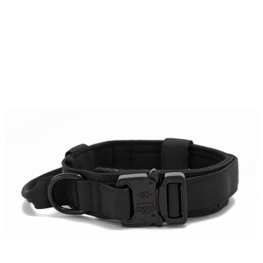 Dog Heaven™ Heavy Duty Collar & Bungee Leash